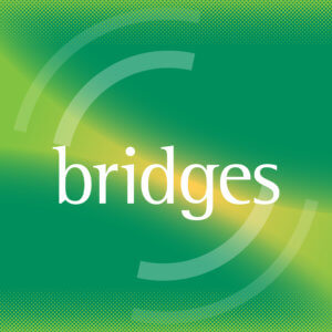 Bridges 1200 x 1200